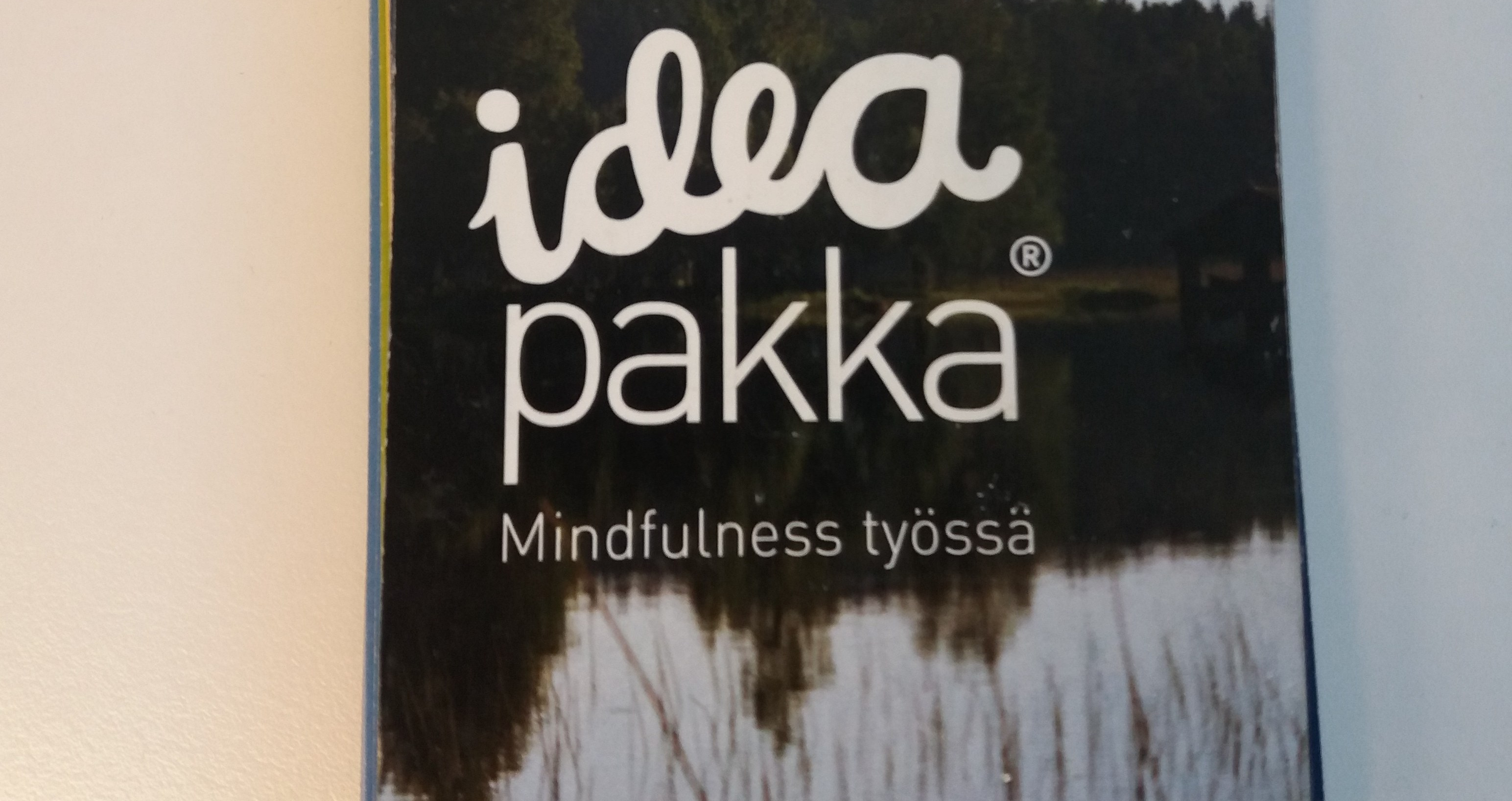 Mindfulness työssä