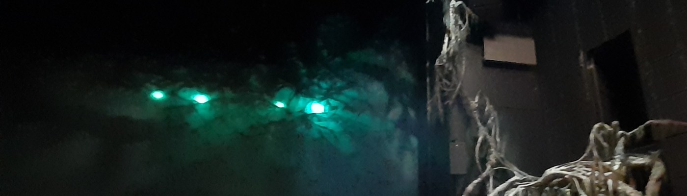 Hobitti näytelmän lavastus, jossa taustalla näkyy mustan kankaan läpi silmiä muistuttavat vihreät valot. Sivustalla vanha ja monioksainen puu.